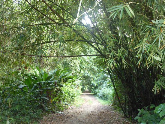 Peperpot Natuur Park